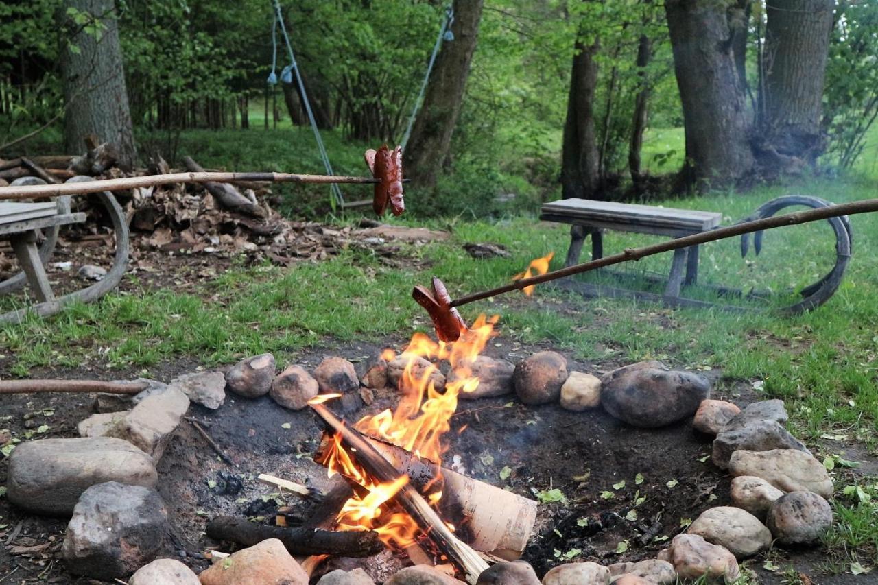 Ubytovani Na Sypce Bela  Zewnętrze zdjęcie